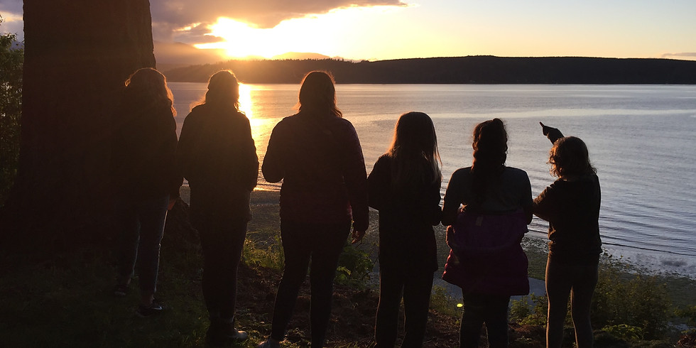 Silhouettes of several people standing in a row watching a sunset over a lake, warm golden and blue tones, peaceful mood